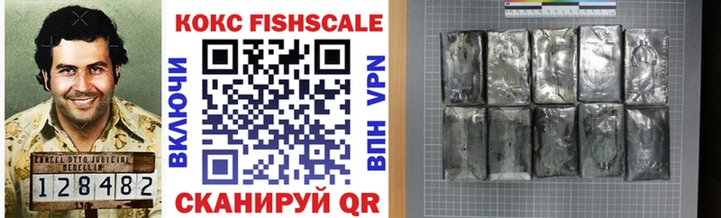 Кокаин Fish Scale  Купить где  Красногорск 