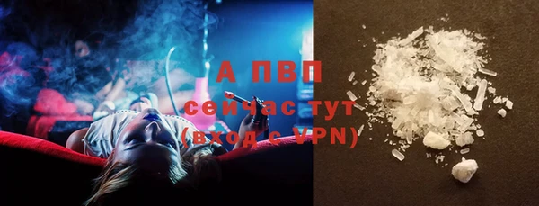 PSILOCYBIN Бугульма