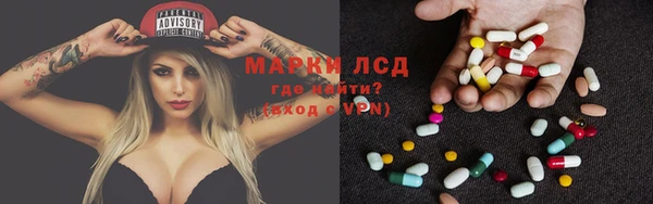ECSTASY Бородино