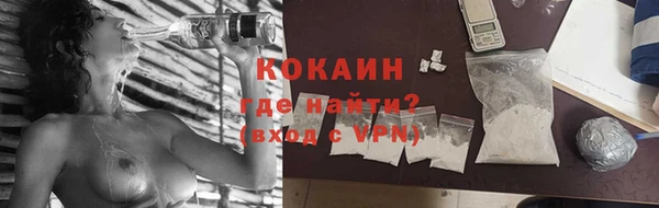 ECSTASY Бородино