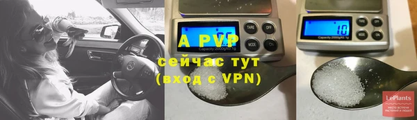 PSILOCYBIN Бугульма