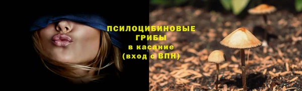 ECSTASY Бородино