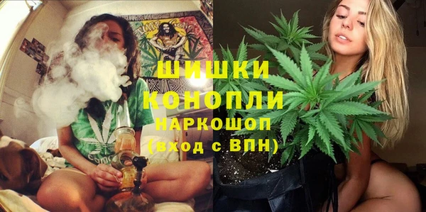 эйфоретик Бронницы