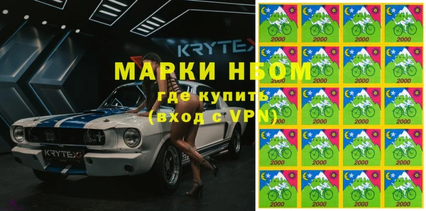 ECSTASY Бородино