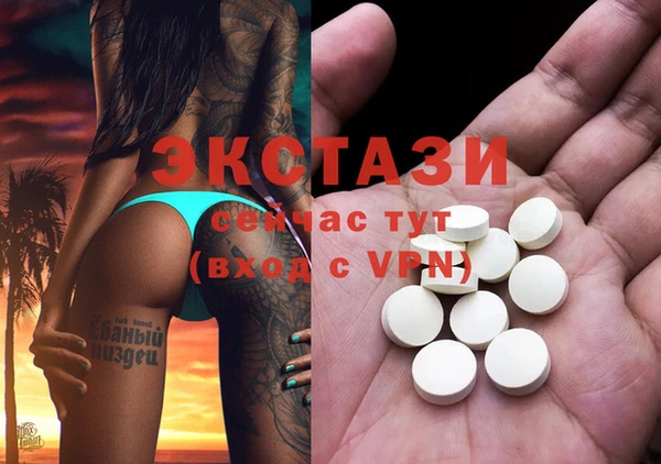 ECSTASY Бородино