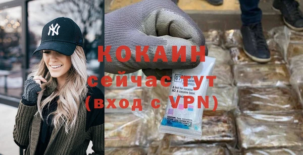 ECSTASY Бородино