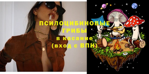 ECSTASY Бородино