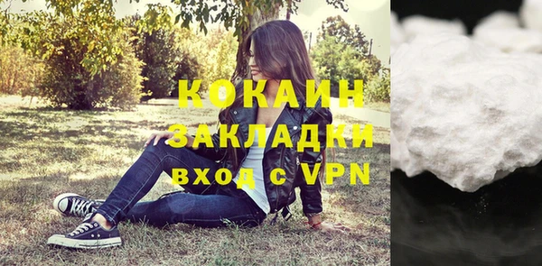 ECSTASY Бородино