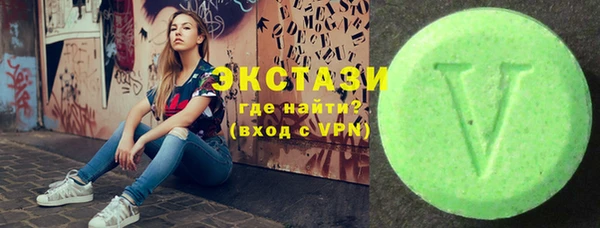 ECSTASY Бородино