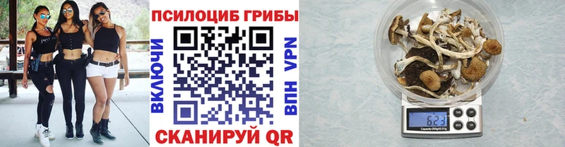 Купить где  Красногорск  Псилоцибиновые грибы мухоморы 